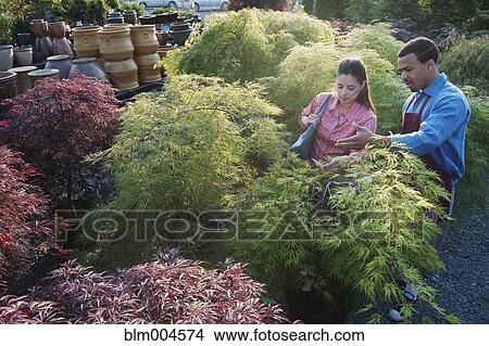 Picture - Worker helping shopper in garden nursery. Fotosearch