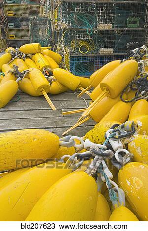 Yellow lobster buoys View Large Photo Image Stock Image - Yellow lobster buoys. Fotosearch