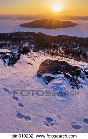 Animal tracks on Bihoro Pass and Lake Kussharo in winter View Large Photo Image Stock Image - Animal tracks on Bihoro Pass and Lake Kussharo in winter. Fotosearch