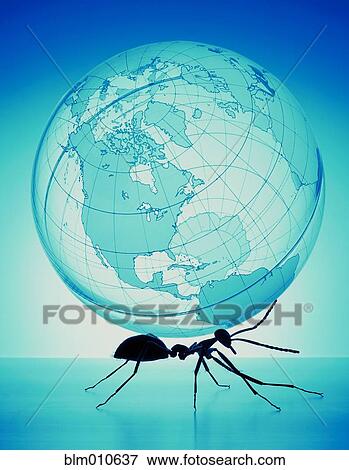 Ant carrying globe on back View Large Photo Image Stock Photo - Ant carrying globe on back. Fotosearch