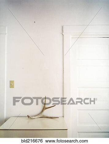 Stock Photograph - Antler on counter top. Fotosearch