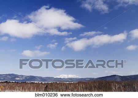 Stock Photograph - Blue skies over trees in front of snow covered Mount Shari. Fotosearch