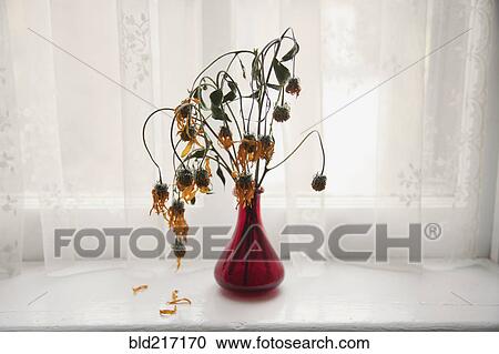Stock Image - Bouquet of wilting flowers in windowsill. Fotosearch