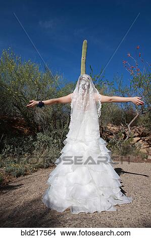 Picture - Bride standing with arms outstretched in desert near cactus. Fotosearch