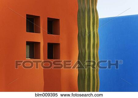 Cactus against colorful walls View Large Photo Image Stock Photography - Cactus against colorful walls. Fotosearch