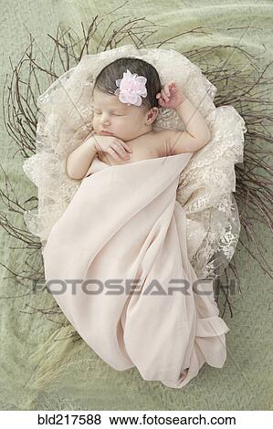 Stock Photo - Caucasian baby girl laying in nest. Fotosearch