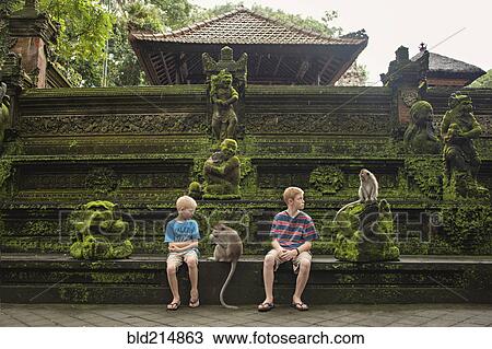 Caucasian brothers examining monkeys on ruins View Large Photo Image Stock Image - Caucasian brothers examining monkeys on ruins. Fotosearch