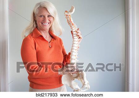 Caucasian chiropractor holding model spine View Large Photo Image Stock Image - Caucasian chiropractor holding model spine. Fotosearch