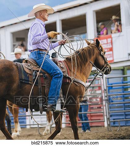Caucasian cowboy riding horse in rodeo View Large Photo Image Stock Photography - Caucasian cowboy riding horse in rodeo. Fotosearch