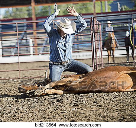 Picture - Caucasian cowboy tying cattle in rodeo on ranch. Fotosearch