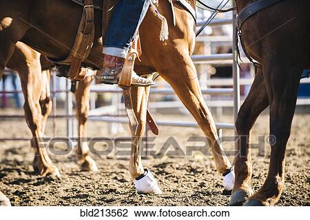 Caucasian cowgirl riding horse on ranch View Large Photo Image Stock Image - Caucasian cowgirl riding horse on ranch. Fotosearch