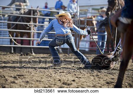 Caucasian cowgirl tying horse in rodeo on ranch View Large Photo Image Stock Image - Caucasian cowgirl tying horse in rodeo on ranch. Fotosearch