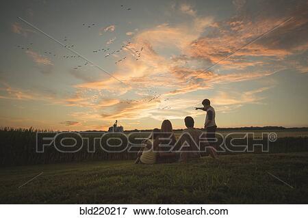 Stock Photo - Caucasian family admiring corn fields at sunset. Fotosearch