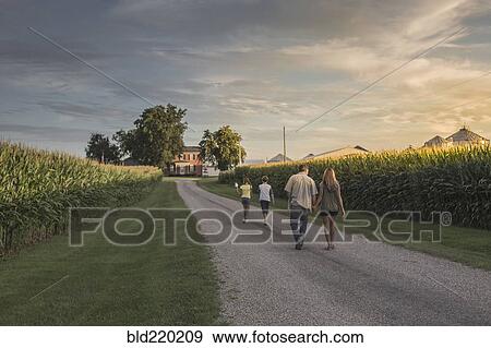 Stock Photo - Caucasian family walking on dirt path by corn field. Fotosearch