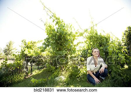 Stock Image - Caucasian farmer crouching in rural vineyard. Fotosearch