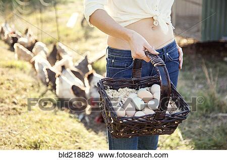 Stock Photo - Caucasian farmer gathering chicken eggs on farm. Fotosearch