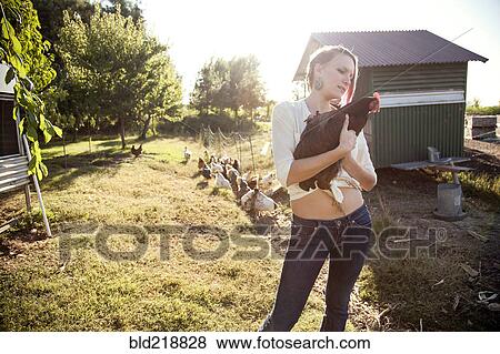Caucasian farmer holding chicken by hen house View Large Photo Image Stock Photo - Caucasian farmer holding chicken by hen house. Fotosearch