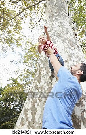 Stock Image - Caucasian father lifting baby son under tree. Fotosearch