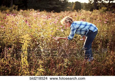Picture - Caucasian gardener examining wildflowers. Fotosearch