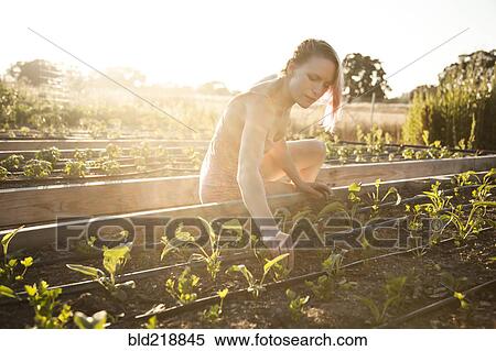 Stock Photography - Caucasian gardener weeding plants in garden. Fotosearch