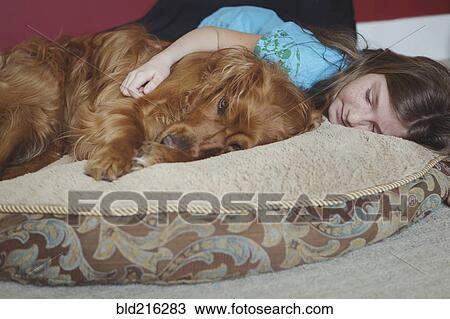 Caucasian girl cuddling dog on cushion View Large Photo Image Stock Image - Caucasian girl cuddling dog on cushion. Fotosearch