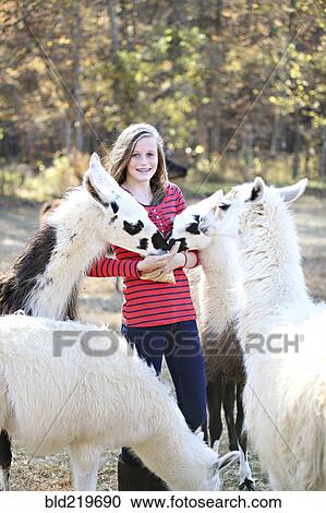 Caucasian girl feeding livestock on farm View Large Photo Image Stock Image - Caucasian girl feeding livestock on farm. Fotosearch