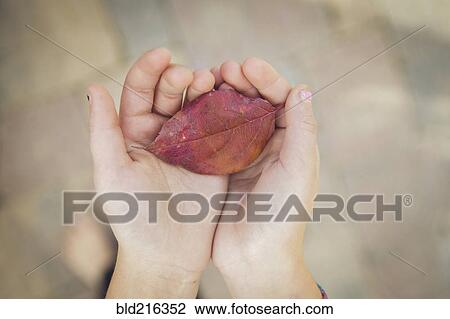 Stock Image - Caucasian girl holding autumn leaf. Fotosearch