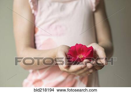 Caucasian girl holding blooming flower View Large Photo Image Picture - Caucasian girl holding blooming flower. Fotosearch