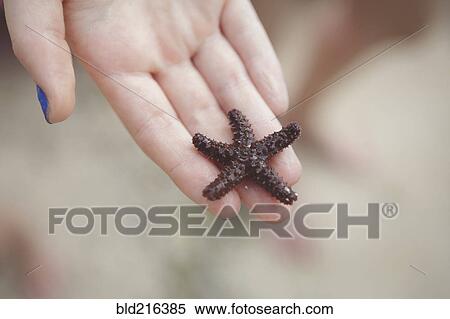 Caucasian girl holding starfish View Large Photo Image Stock Photography - Caucasian girl holding starfish. Fotosearch