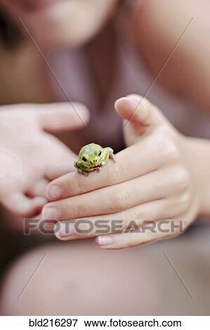 Stock Photo - Caucasian girl playing with frog. Fotosearch