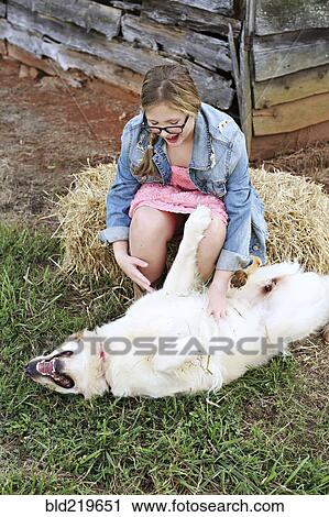 Caucasian girl scratching belly of dog on farm View Large Photo Image Stock Image - Caucasian girl scratching belly of dog on farm. Fotosearch