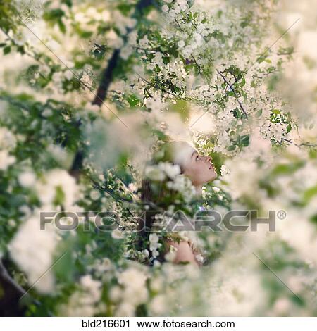 Caucasian girl sitting in flowering tree View Large Photo Image Stock Image - Caucasian girl sitting in flowering tree. Fotosearch