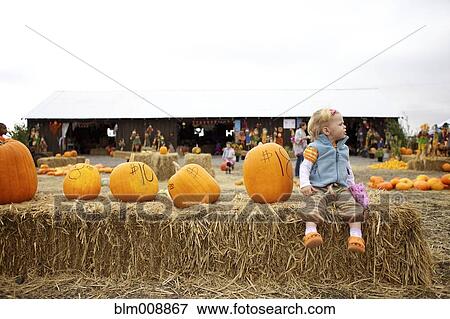 Stock Photo - Caucasian girl sitting with pumpkins in pumpkin patch. Fotosearch