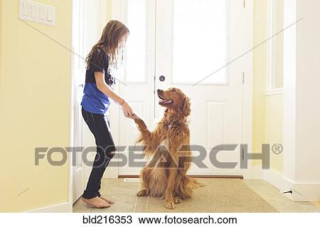Stock Image - Caucasian girl training dog to shake paw. Fotosearch