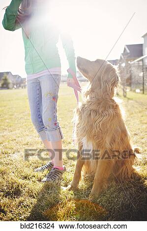 Picture - Caucasian girl walking dog in field. Fotosearch