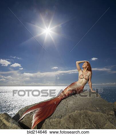 Caucasian mermaid laying on rock near ocean View Large Photo Image Stock Photograph - Caucasian mermaid laying on rock near ocean. Fotosearch