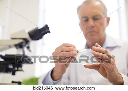 Stock Photograph - Caucasian scientist examining sample in laboratory. Fotosearch