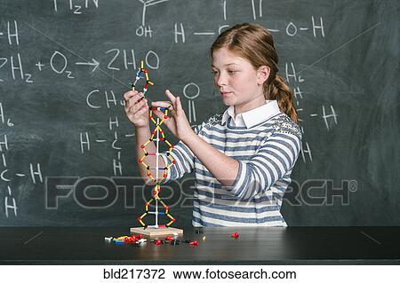 Stock Image - Caucasian student examining molecular model in science class. Fotosearch
