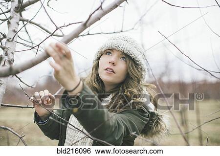 Stock Photograph - Caucasian woman examining tree branches. Fotosearch