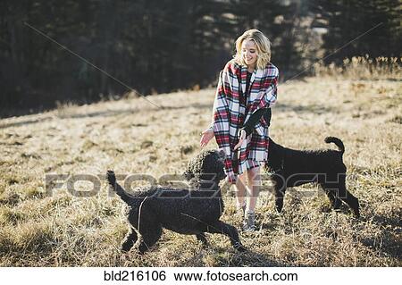 Caucasian woman playing with dogs in rural field View Large Photo Image Stock Photograph - Caucasian woman playing with dogs in rural field. Fotosearch