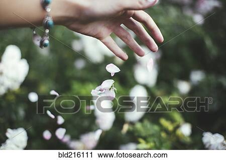 Stock Image - Caucasian woman playing with flower petals. Fotosearch