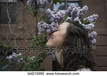 Caucasian woman smelling flowers on city street View Large Photo Image Stock Image - Caucasian woman smelling flowers on city street. Fotosearch