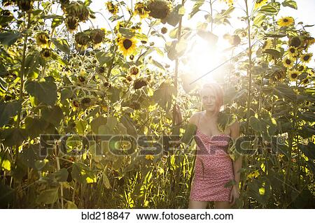 Stock Photo - Caucasian woman standing under sunflowers in garden. Fotosearch