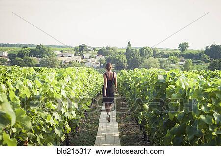 Caucasian woman walking on wooden walkway in vineyard View Large Photo Image Stock Photo - Caucasian woman walking on wooden walkway in vineyard. Fotosearch