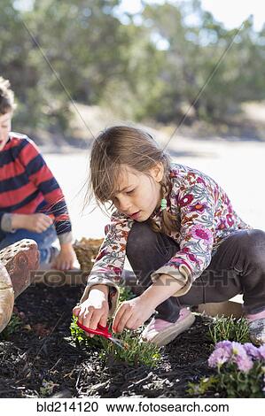 Stock Image - Children gardening in yard. Fotosearch