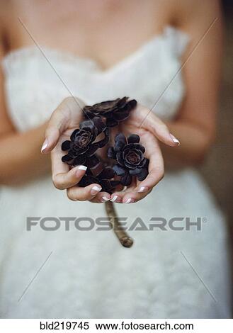 Stock Photography - Close up of bride holding flowers. Fotosearch