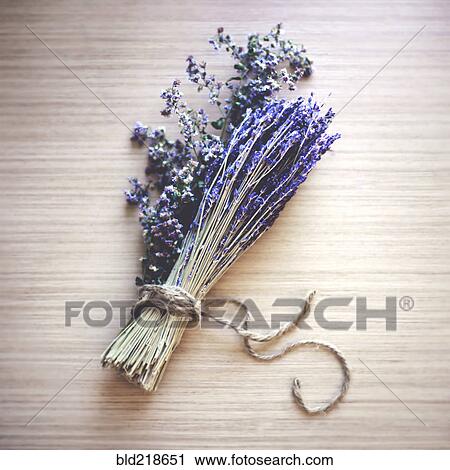 Close up of bunch of lavender flowers View Large Photo Image Stock Image - Close up of bunch of lavender flowers. Fotosearch