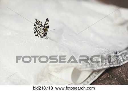 Stock Photo - Close up of butterfly on wedding dress. Fotosearch