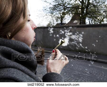 Close up of Caucasian woman blowing dandelion seeds View Large Photo Image Stock Image - Close up of Caucasian woman blowing dandelion seeds. Fotosearch