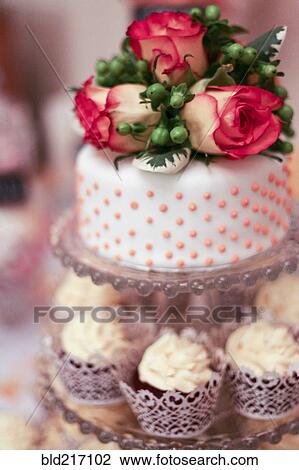 Close up of decorated cake and cupcakes View Large Photo Image Stock Image - Close up of decorated cake and cupcakes. Fotosearch